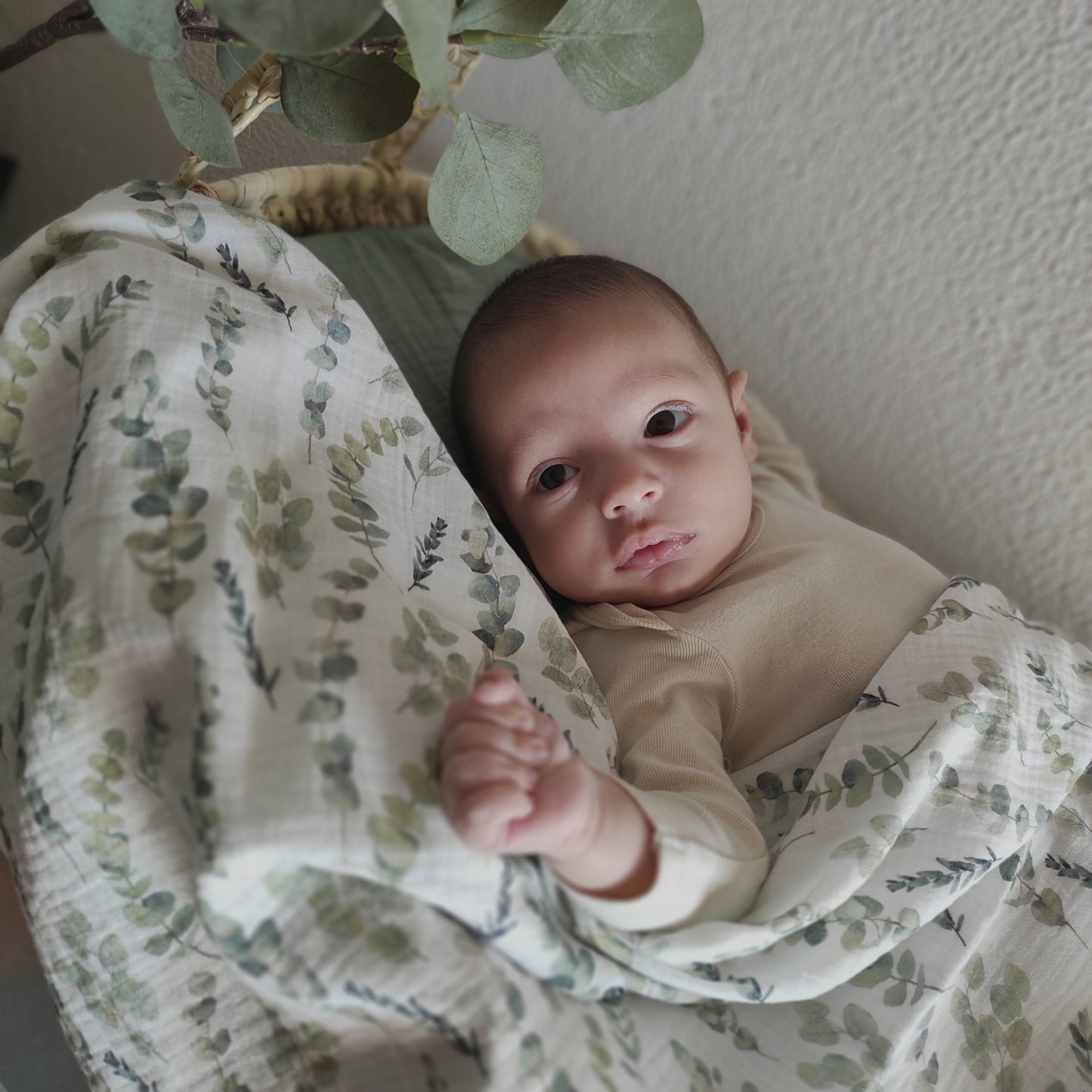 Swaddle Eucalipto